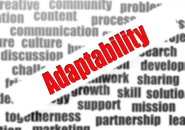 Developing Your Adaptability Quotient to Thrive in An Ever-Changing World
