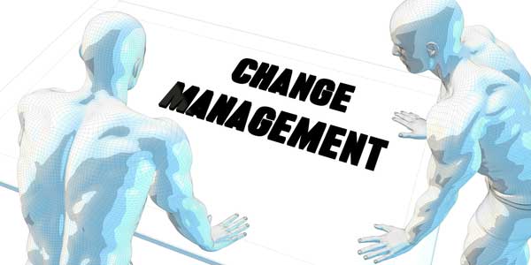 Understanding The Principles of Effective Change Management