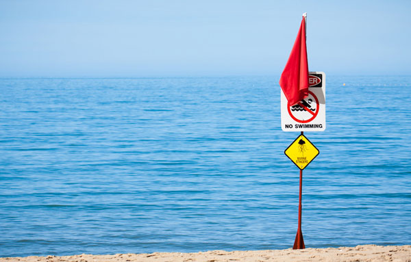 5 Red Flags Signaling It’s Time to Leave Your Job